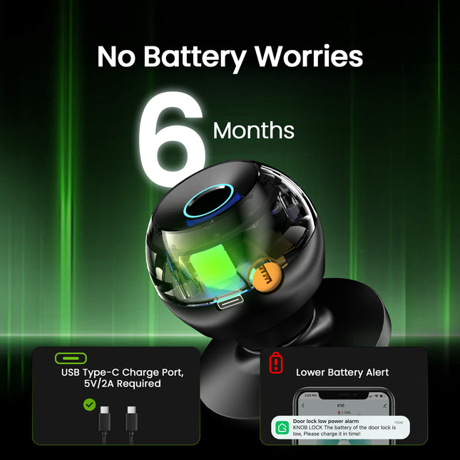 GHome Wi-Fi Smart Fingerprint Door Knob Lock K10