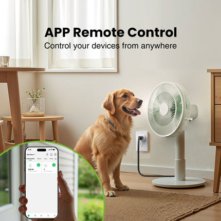 GHome Wi-Fi Smart Plug Mini 10A WP3