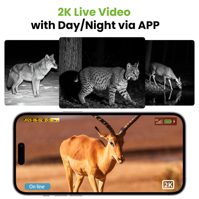 Solar Powered Hunting Camera GhomeSmart PC9U