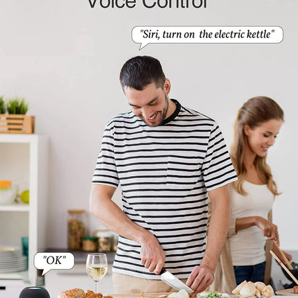 GHome Wi-Fi Smart Plug Apple-HomeKit 15A WP6-H