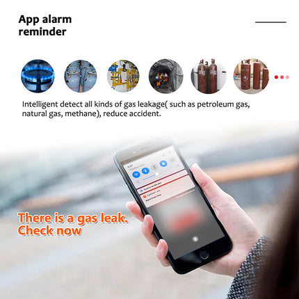 Smart Gas Leakage Detector for Home Kitchen