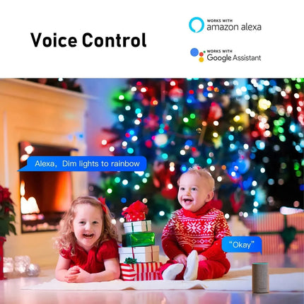 Smart RGB Globe String Lights: Outdoor WiFi & Bluetooth Control