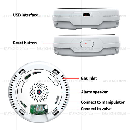 Smart Gas Leakage Detector for Home Kitchen