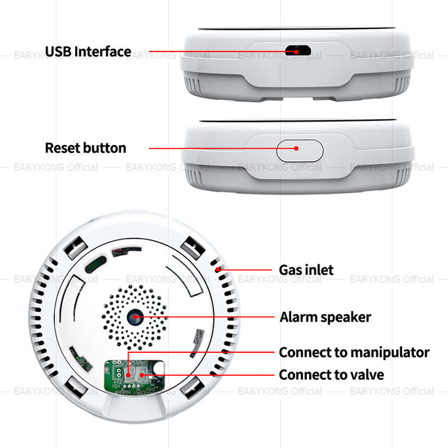 Smart Gas Leakage Detector for Home Kitchen